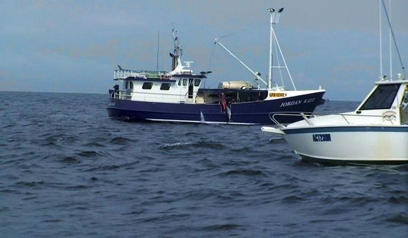Longliners slaughter marlin